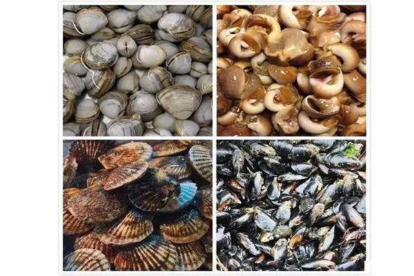 營(yíng)口鲅魚圈海鮮市場(chǎng)哪個(gè)好 附開海后海鮮價(jià)格